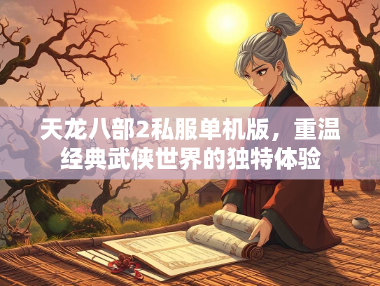 天龙八部2私服单机版，重温经典武侠世界的独特体验