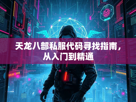 天龙八部私服代码寻找指南，从入门到精通