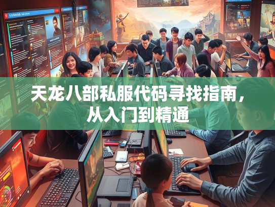 天龙八部私服代码寻找指南，从入门到精通