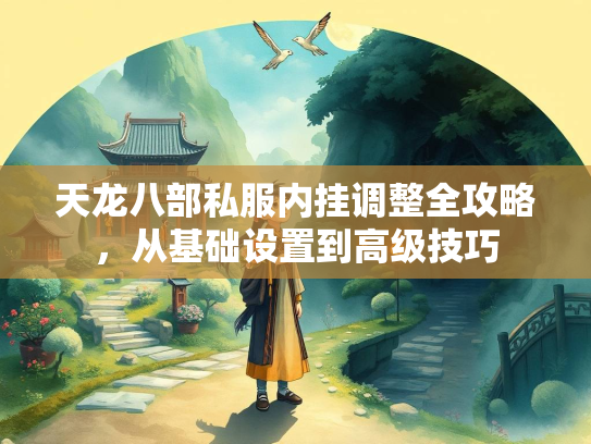 天龙八部私服内挂调整全攻略，从基础设置到高级技巧  第2张