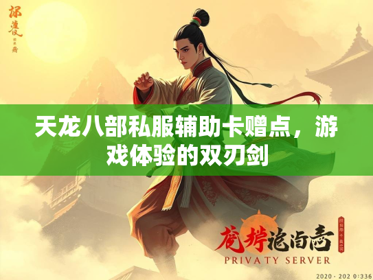天龙八部私服辅助卡赠点，游戏体验的双刃剑