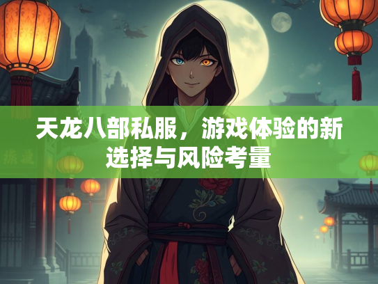 天龙八部私服，游戏体验的新选择与风险考量