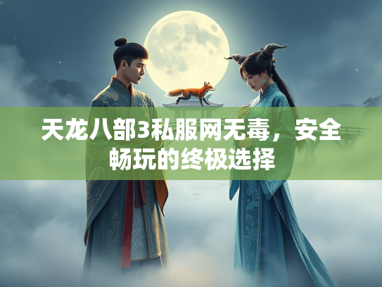 天龙八部3私服网无毒，安全畅玩的终极选择  第2张