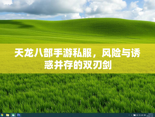 天龙八部手游私服，风险与诱惑并存的双刃剑