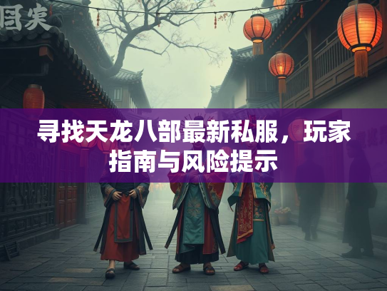 寻找天龙八部最新私服，玩家指南与风险提示