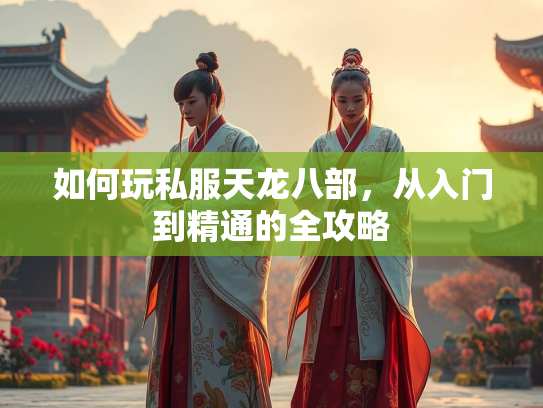 如何玩私服天龙八部，从入门到精通的全攻略