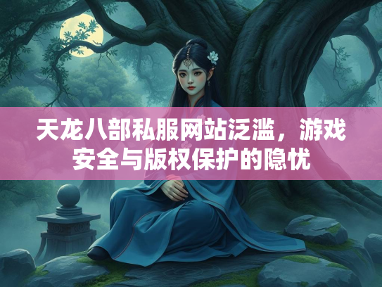 天龙八部私服网站泛滥，游戏安全与版权保护的隐忧  第2张
