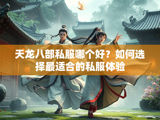 天龙八部私服哪个好？如何选择最适合的私服体验