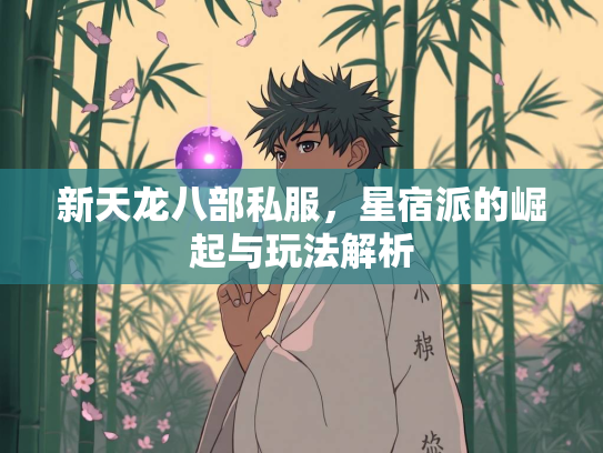 新天龙八部私服，星宿派的崛起与玩法解析