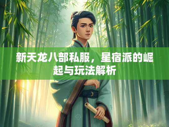 新天龙八部私服，星宿派的崛起与玩法解析
