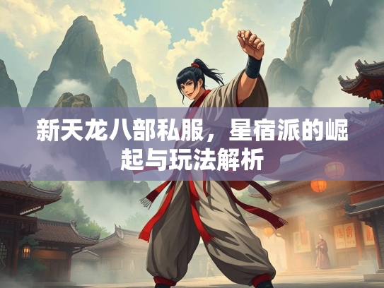 新天龙八部私服，星宿派的崛起与玩法解析