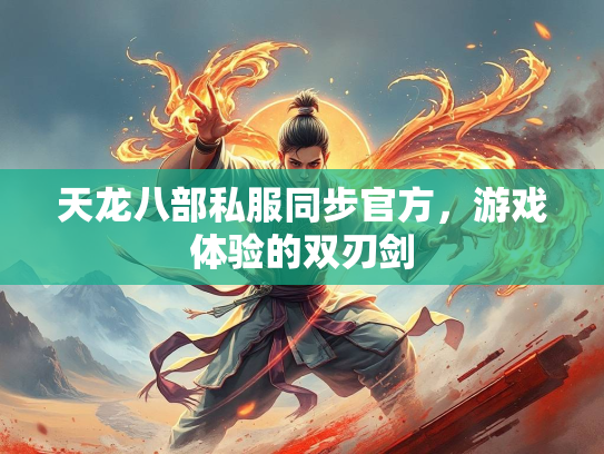 天龙八部私服同步官方，游戏体验的双刃剑