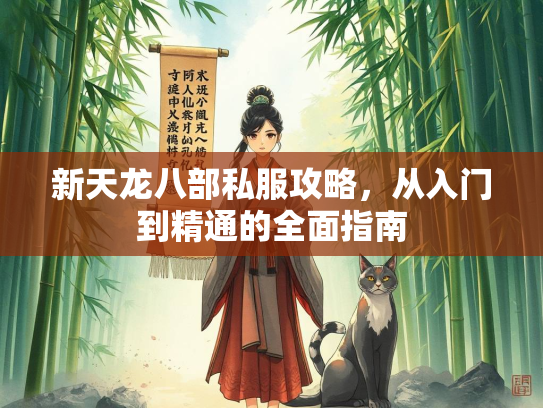 新天龙八部私服攻略，从入门到精通的全面指南