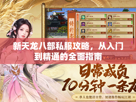 新天龙八部私服攻略，从入门到精通的全面指南