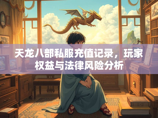 天龙八部私服充值记录，玩家权益与法律风险分析