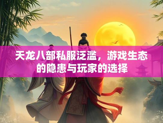 天龙八部私服泛滥，游戏生态的隐患与玩家的选择