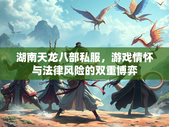 湖南天龙八部私服，游戏情怀与法律风险的双重博弈