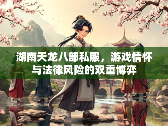 湖南天龙八部私服，游戏情怀与法律风险的双重博弈