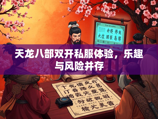 天龙八部双开私服体验，乐趣与风险并存