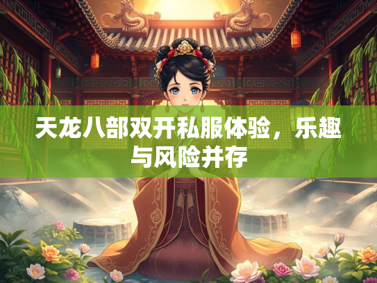 天龙八部双开私服体验，乐趣与风险并存