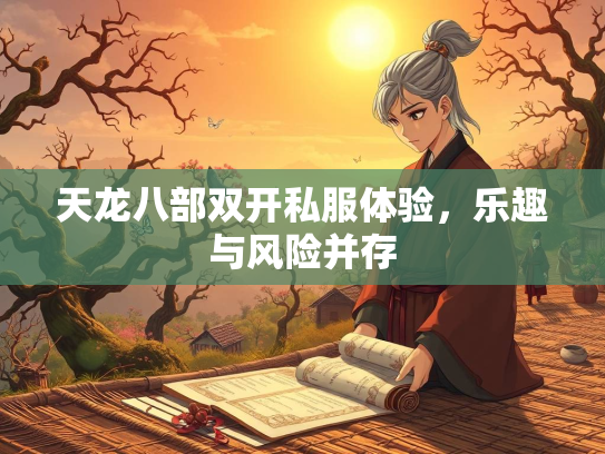 天龙八部双开私服体验，乐趣与风险并存