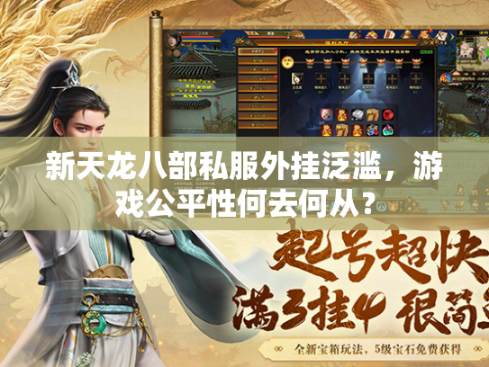 新天龙八部私服外挂泛滥，游戏公平性何去何从？  第2张