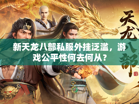 新天龙八部私服外挂泛滥，游戏公平性何去何从？  第3张