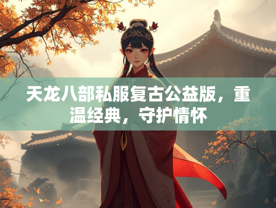 天龙八部私服复古公益版，重温经典，守护情怀  第2张