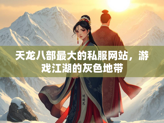 天龙八部最大的私服网站，游戏江湖的灰色地带