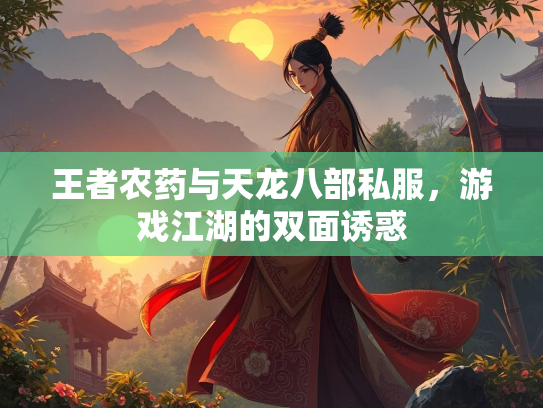 王者农药与天龙八部私服，游戏江湖的双面诱惑  第1张