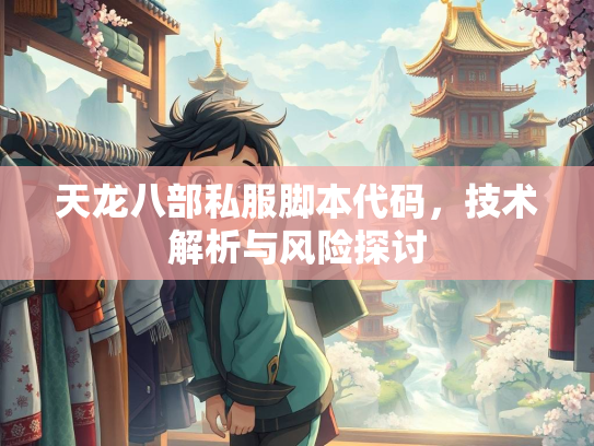 天龙八部私服脚本代码，技术解析与风险探讨