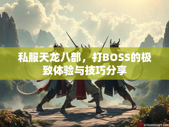私服天龙八部，打BOSS的极致体验与技巧分享