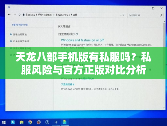 天龙八部手机版有私服吗？私服风险与官方正版对比分析  第3张