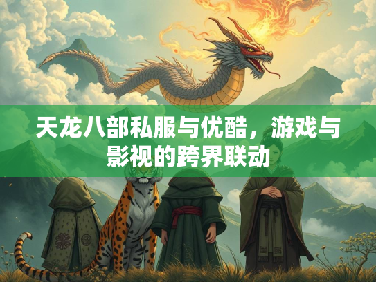 天龙八部私服与优酷，游戏与影视的跨界联动
