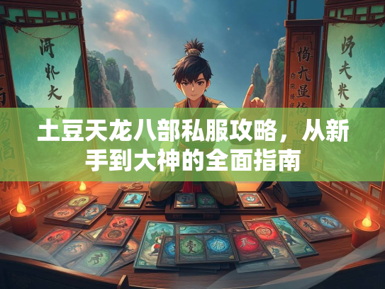 土豆天龙八部私服攻略，从新手到大神的全面指南