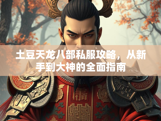 土豆天龙八部私服攻略，从新手到大神的全面指南