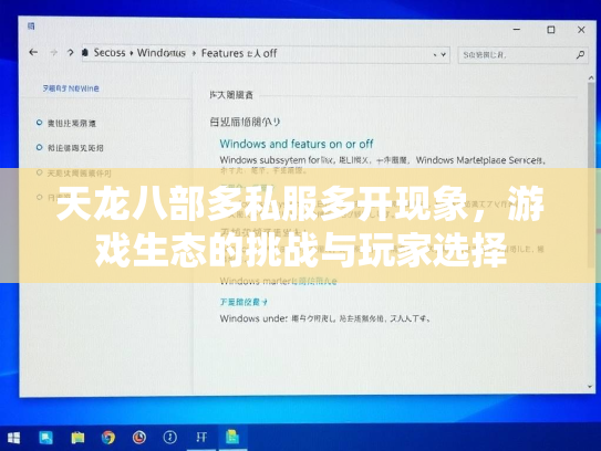 天龙八部多私服多开现象，游戏生态的挑战与玩家选择