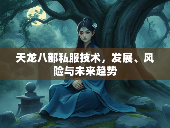 天龙八部私服技术，发展、风险与未来趋势