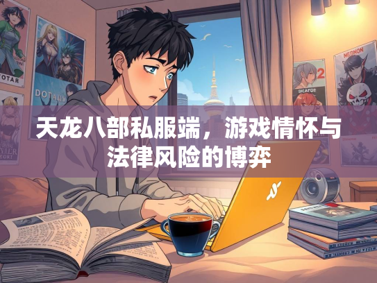 天龙八部私服端，游戏情怀与法律风险的博弈