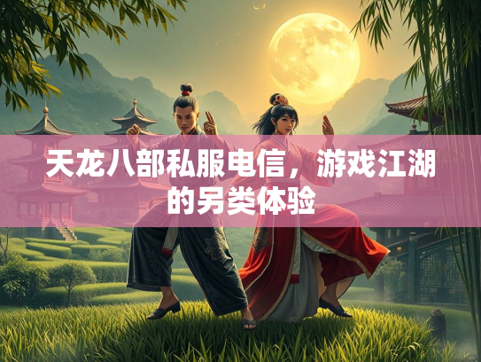 天龙八部私服电信，游戏江湖的另类体验