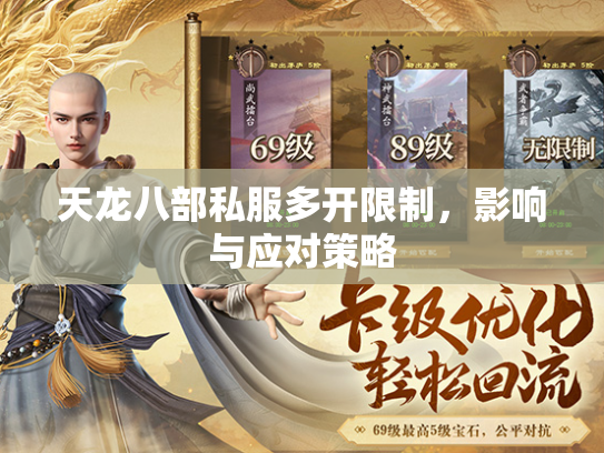 天龙八部私服多开限制，影响与应对策略