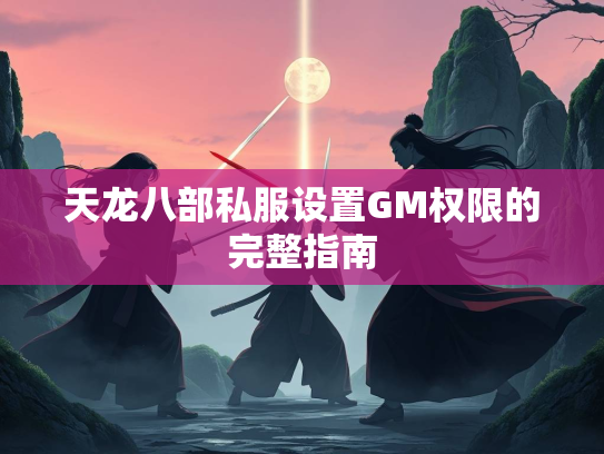 天龙八部私服设置GM权限的完整指南