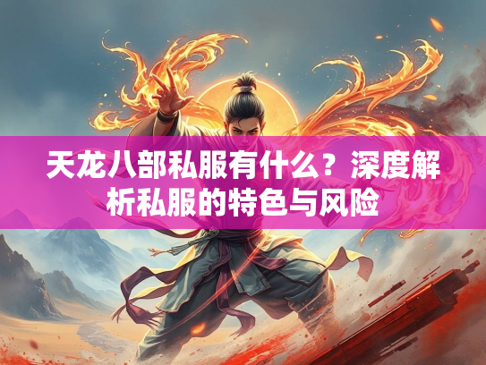 天龙八部私服有什么？深度解析私服的特色与风险