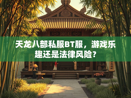 天龙八部私服BT服，游戏乐趣还是法律风险？