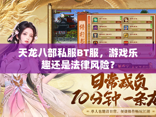 天龙八部私服BT服，游戏乐趣还是法律风险？