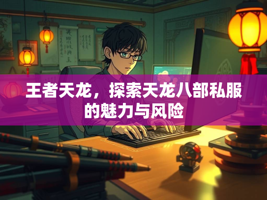 王者天龙，探索天龙八部私服的魅力与风险