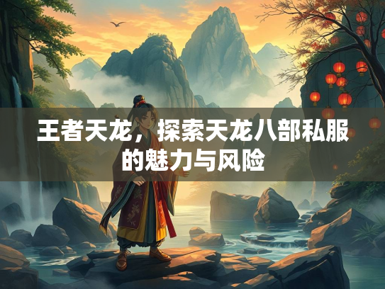 王者天龙，探索天龙八部私服的魅力与风险
