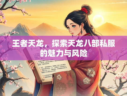 王者天龙，探索天龙八部私服的魅力与风险