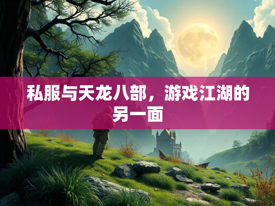 私服与天龙八部，游戏江湖的另一面