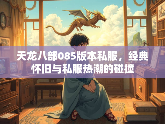 天龙八部085版本私服，经典怀旧与私服热潮的碰撞